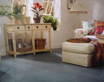 Caring For Your Carpet