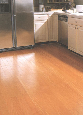 Kaitchen with laminate wood floor